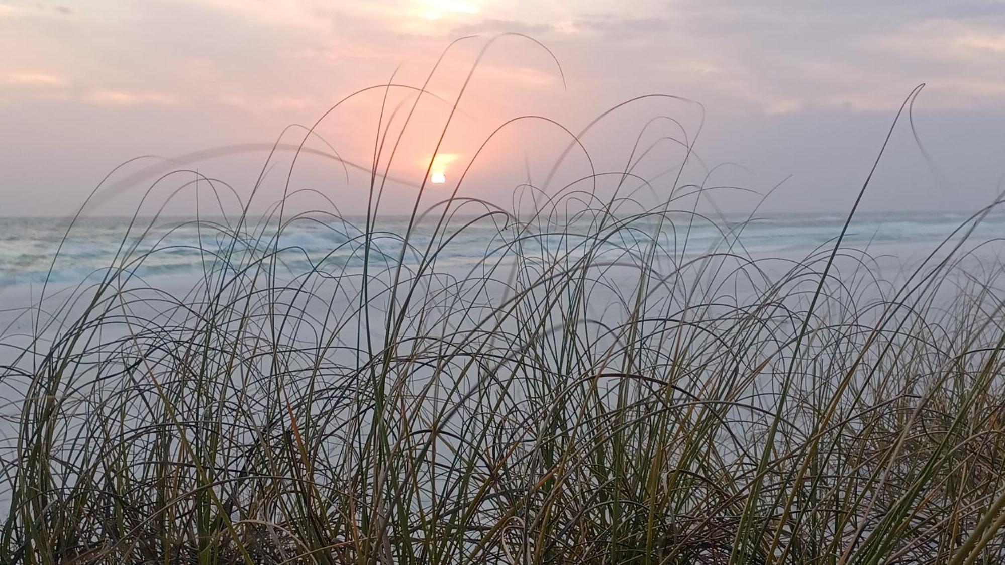 Couples Getaway, Honeymoon Sweet, Perfectly Cozy Beach Front Condo With Kitchen, Pool, Free Parking,Check-In At Door Panama City Beach Room photo